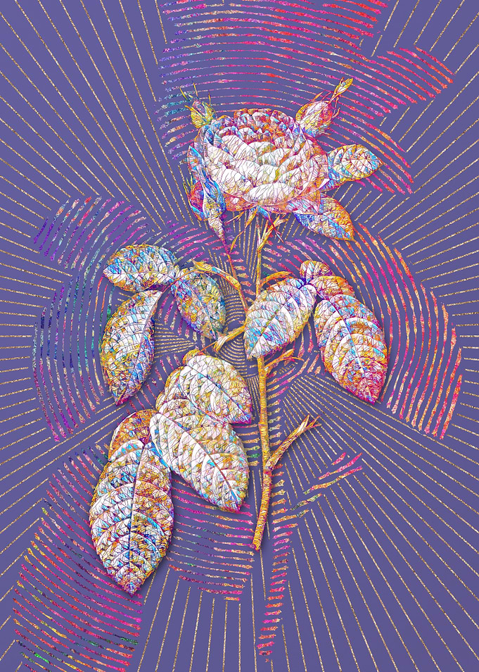 Red Gallic Rose Mosaic