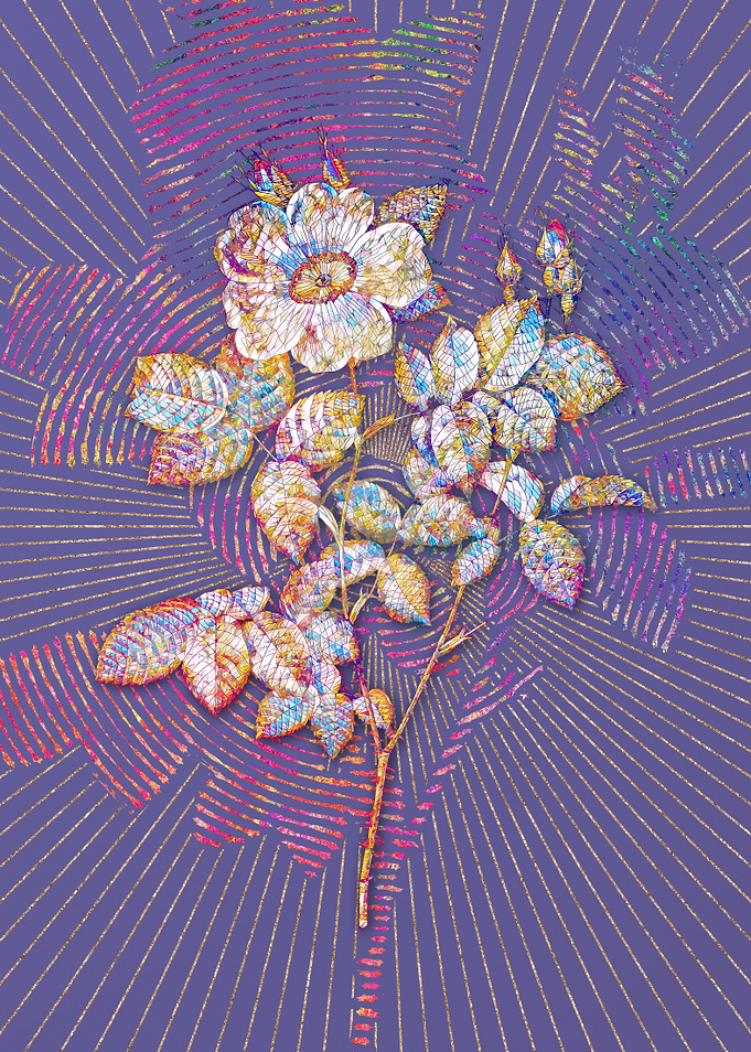 Twin Flowered White Ros