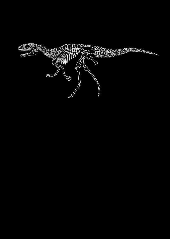 Dinosaurier Fossil Skelett