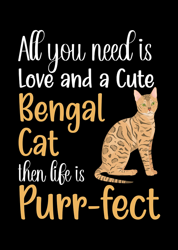 A Cute Bengal Cat