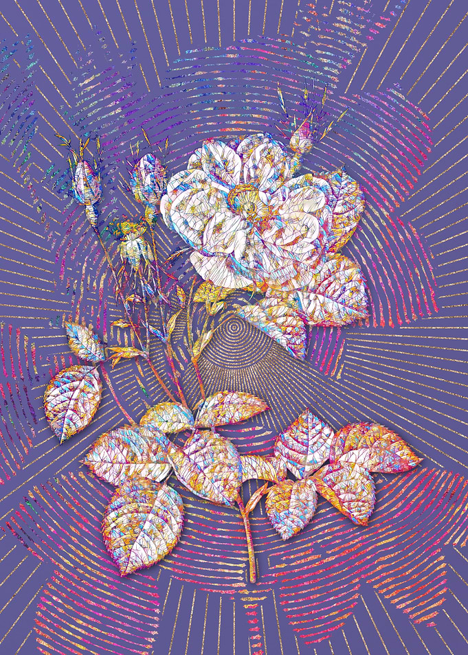 White Rose of York Mosaic