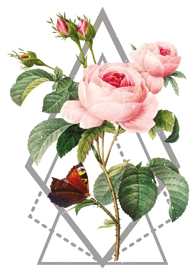 Boho style roses flower