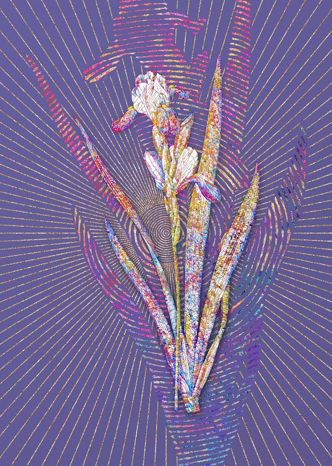 Tall Bearded Iris 2 Mosaic