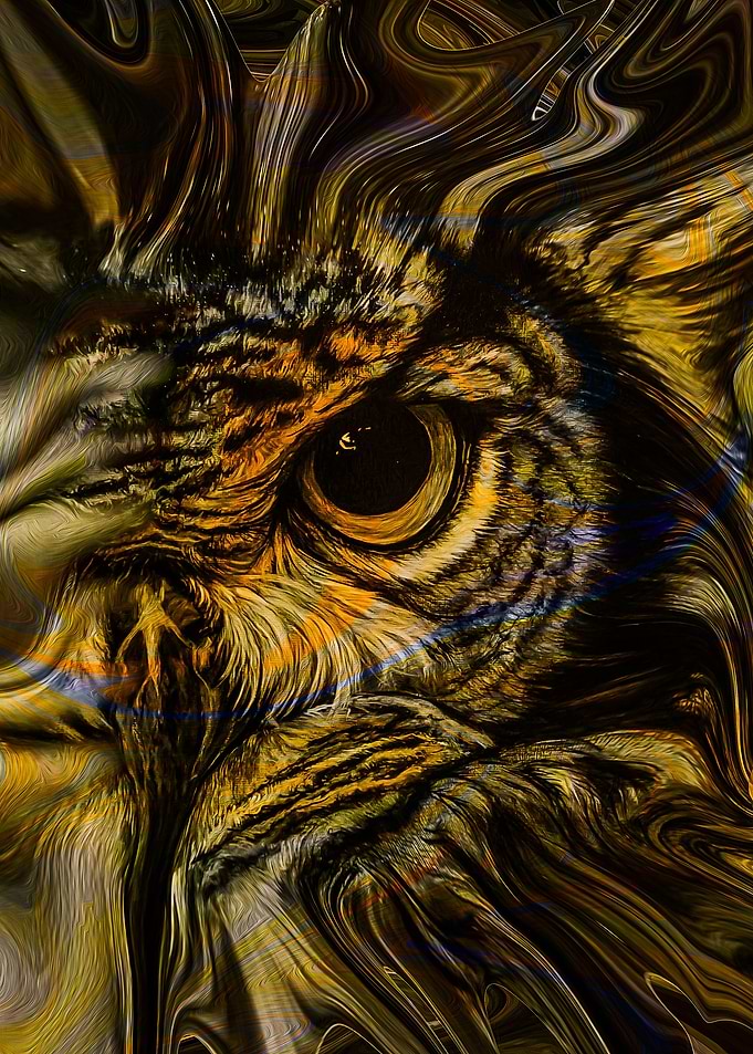 Owl Fantasy