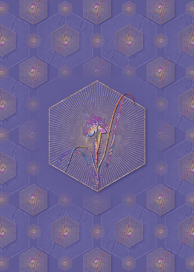 Barbary Nut Pattern