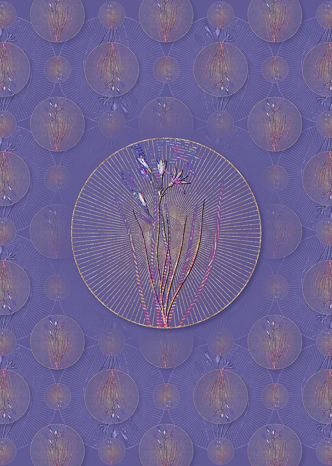 Amaryllis Montana Pattern
