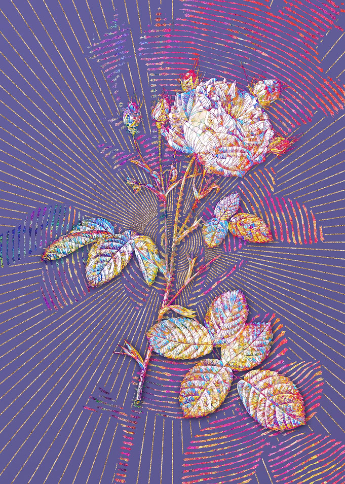 White Provence Rose Mosaic