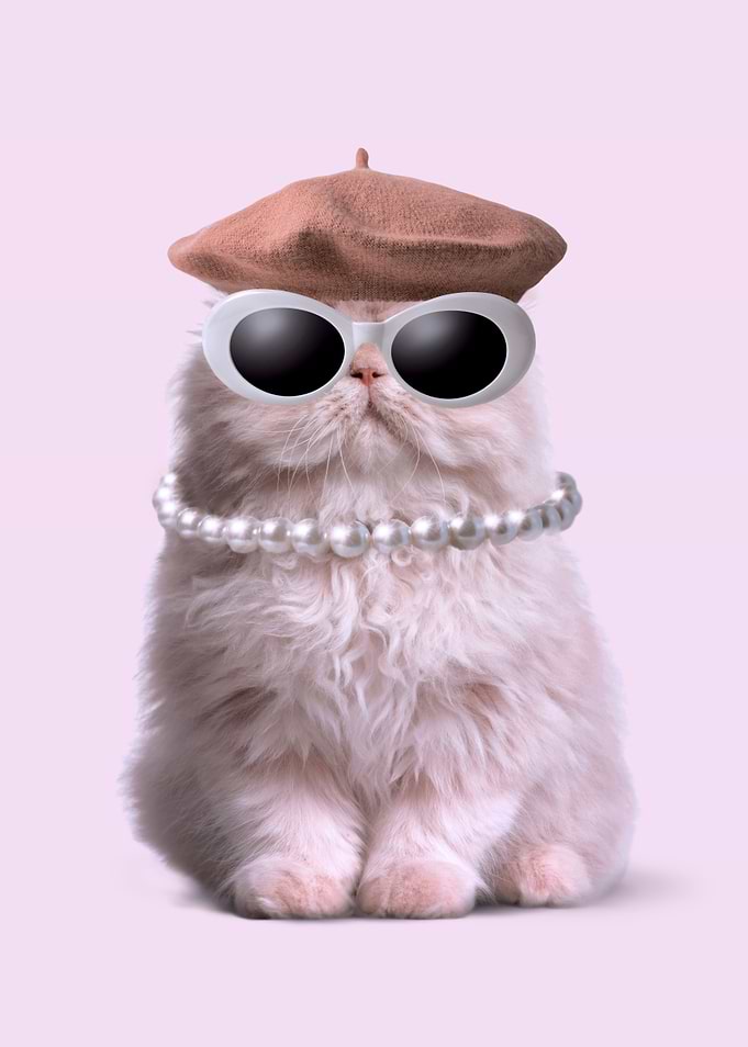 Fashion Cat