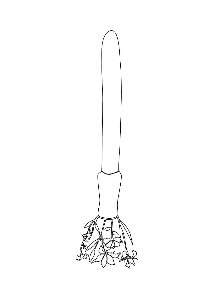 Brush Cosmetic with flower