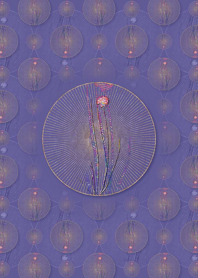 Allium Foliosum Pattern