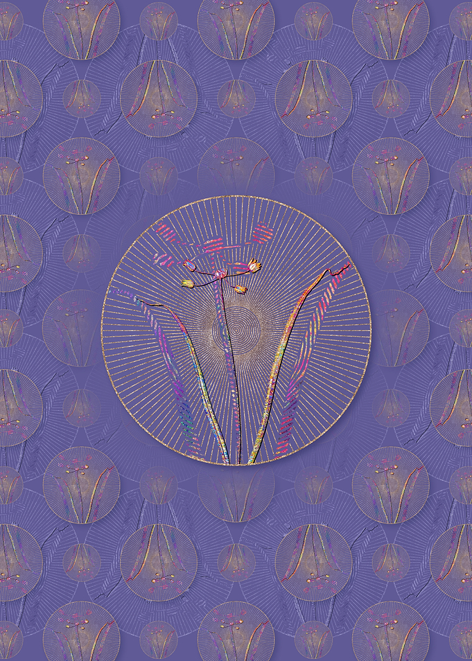 Allium Scorzonera Folium