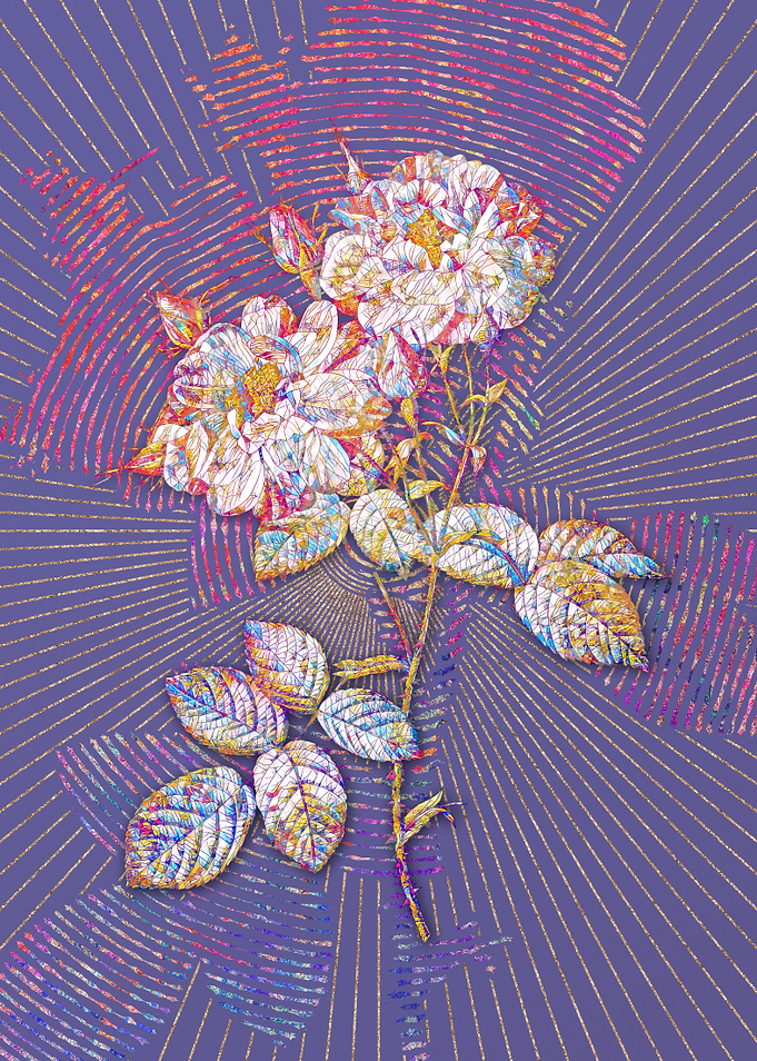 White Damask Rose Mosaic