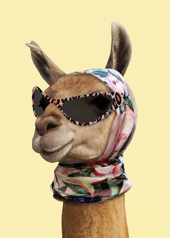 Funny Fashion Alpaca