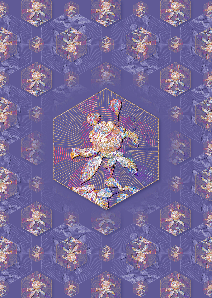 Agatha Rose in Bloom 2