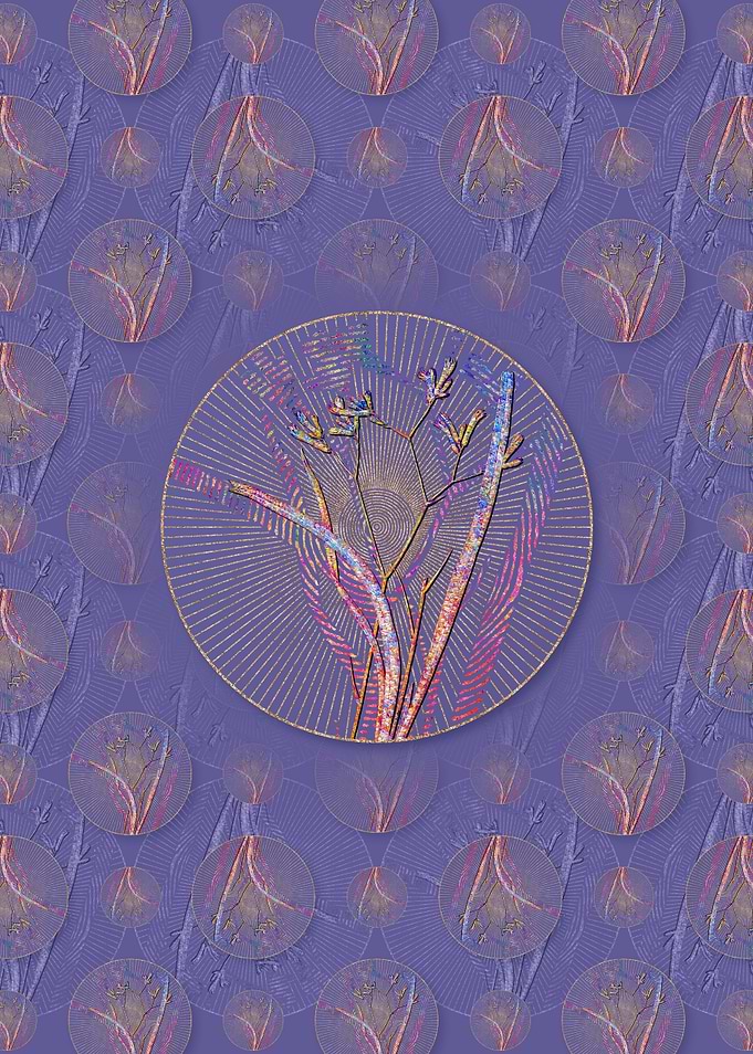 Anigozanthos Flavida