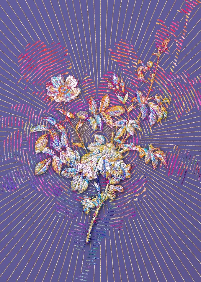 White Downy Rose Mosaic