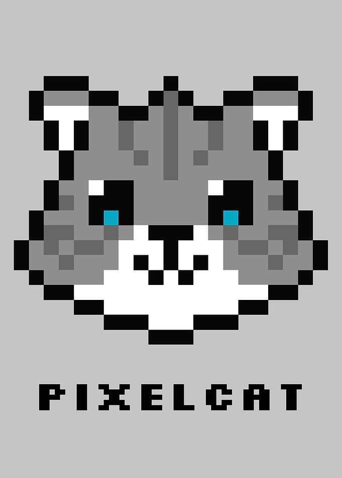 Pixel Gaming Cat