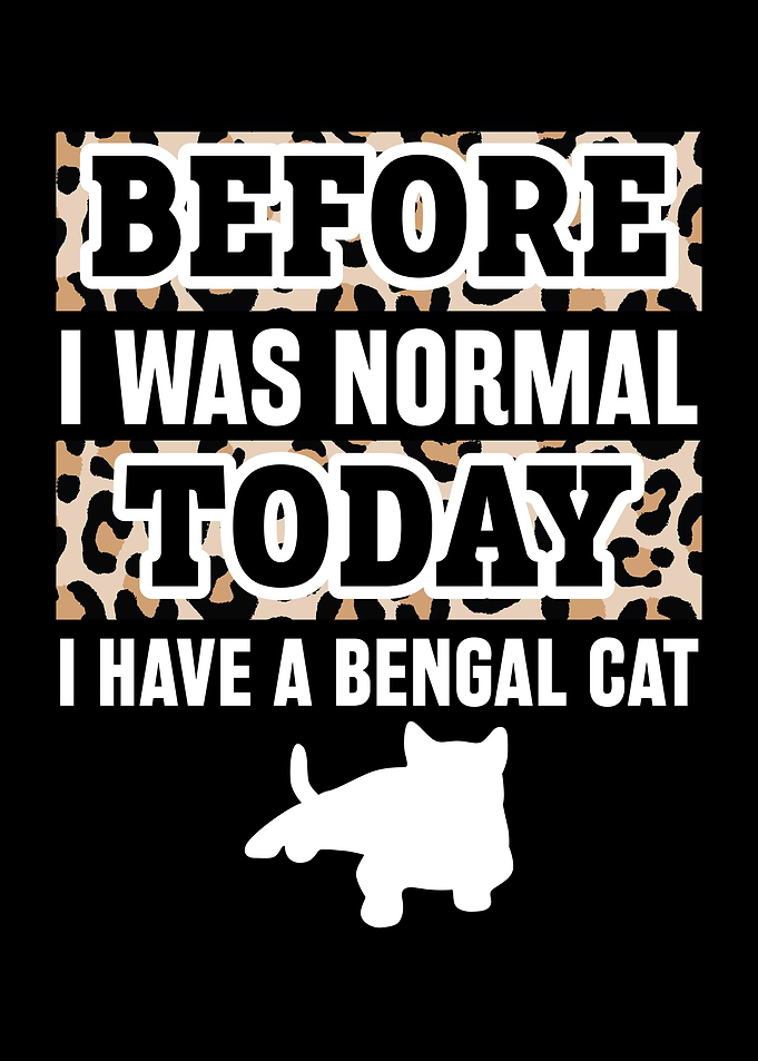 Funny Bengal Cat