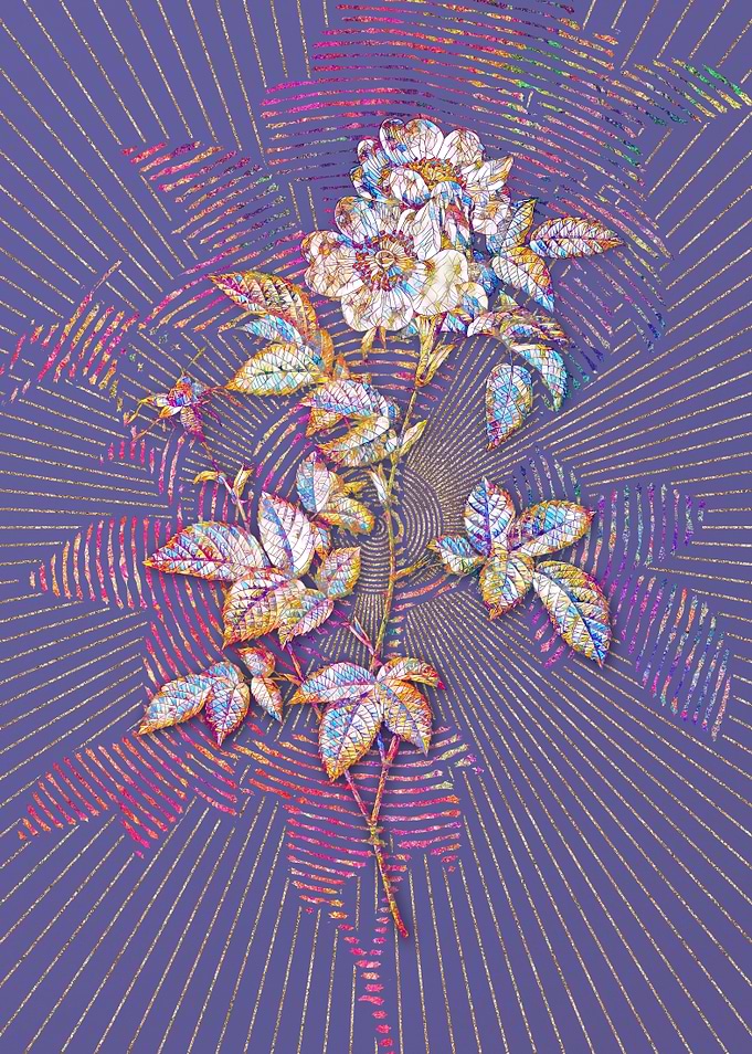 White Anjou Roses Mosaic