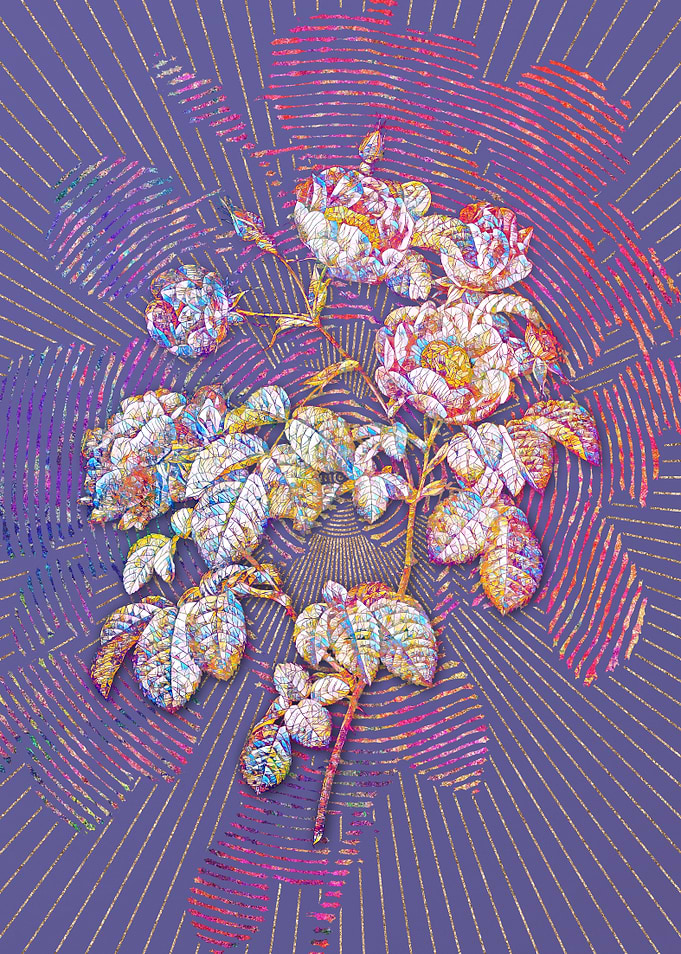 Tomentose Rose Mosaic