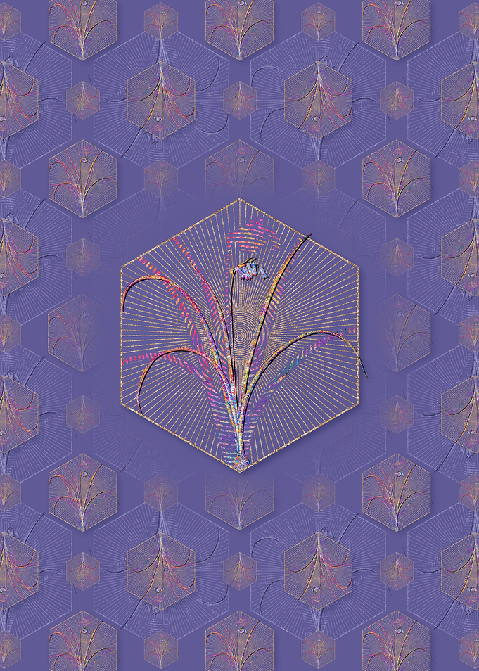 Brimeura Pattern