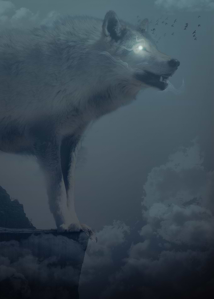 Cliff Wolf