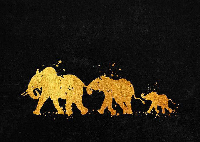 Elephant Family