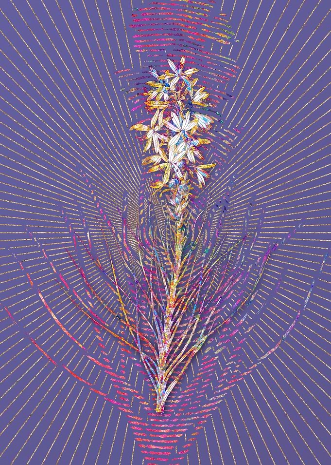 Yellow Asphodel Mosaic