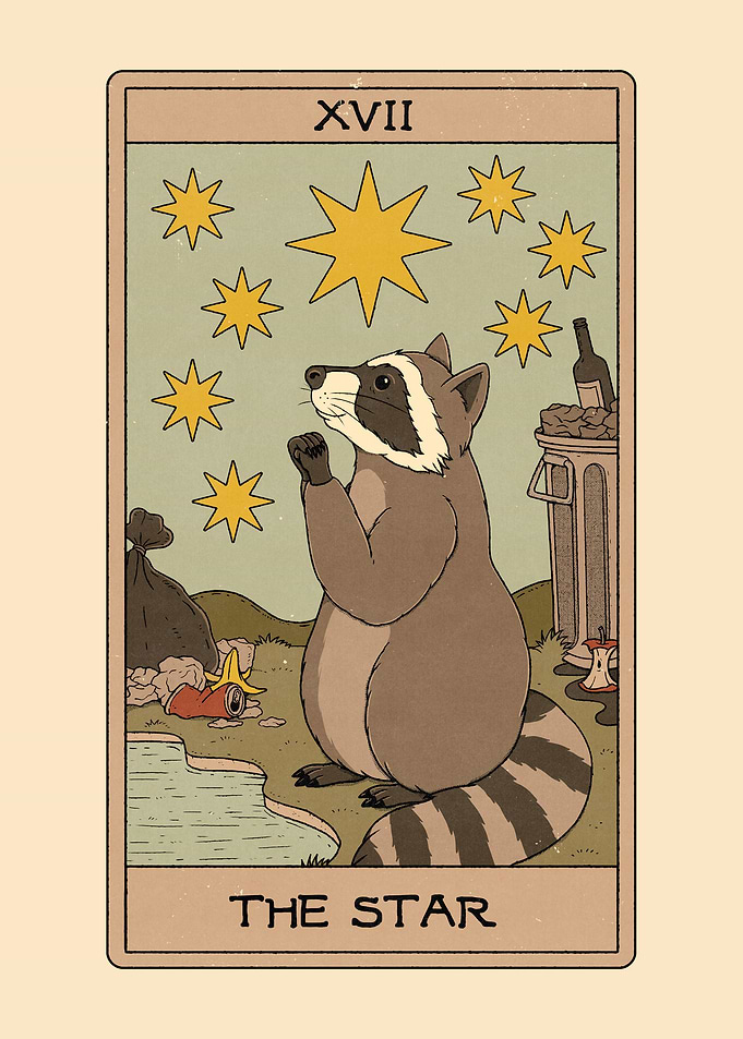 The Star Raccoon