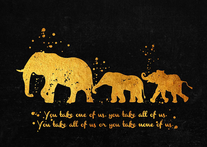 Elephant Family Quote