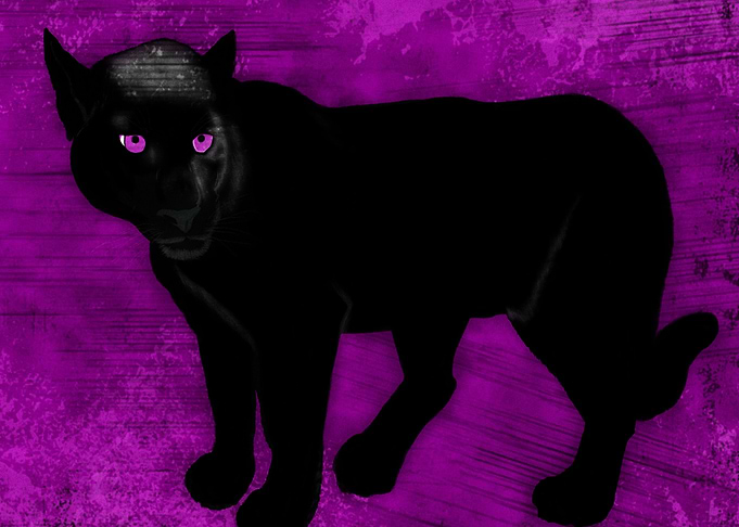 Black Panther with purple