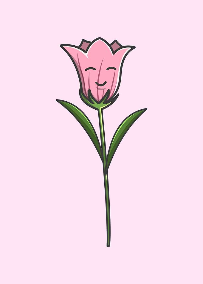 Crocus Kawaii