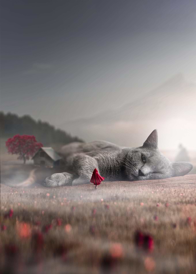 Fantasy Cat