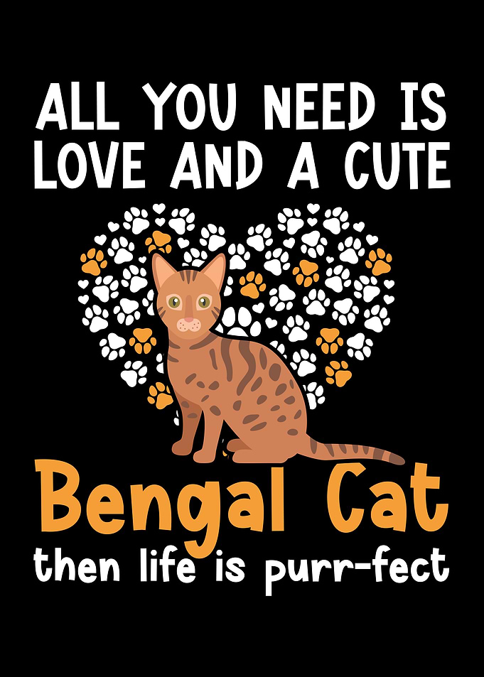 A Cute Bengal Cat