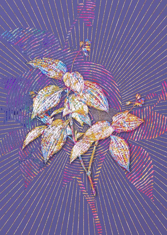 Tradescantia Erecta Mosaic