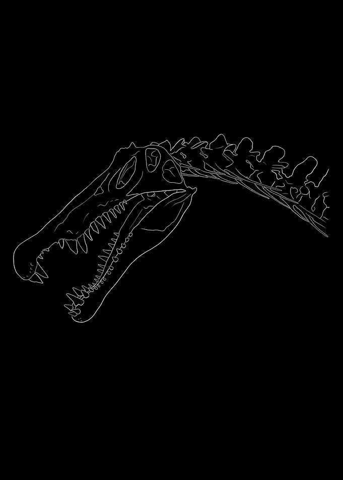 Dinosaurier Fossil Skelett