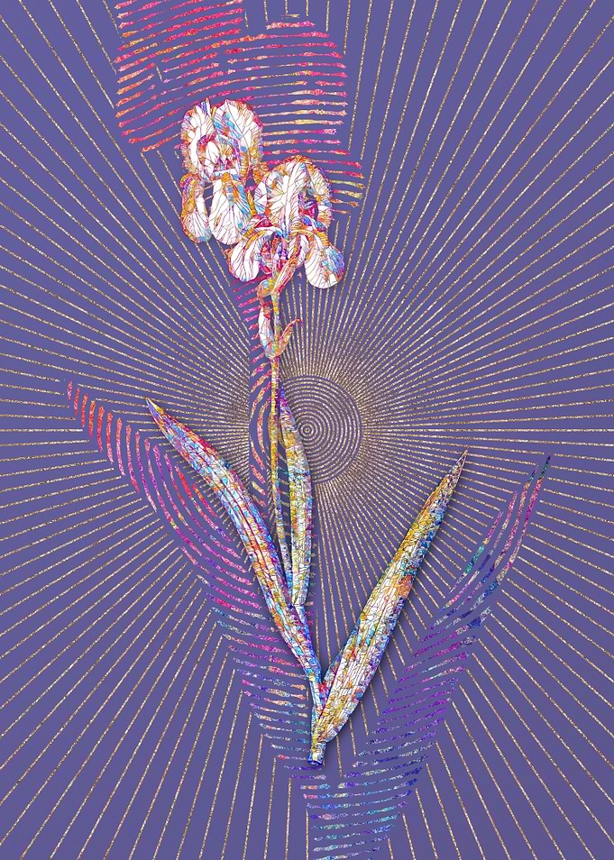 Tall Bearded Iris Mosaic