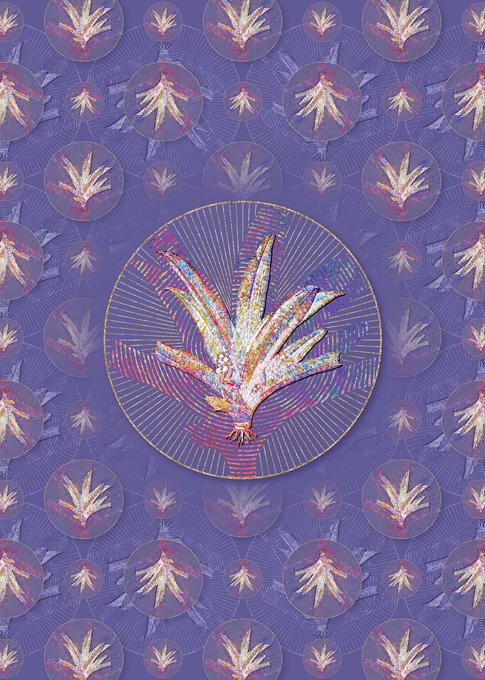 Boat Lily Pattern