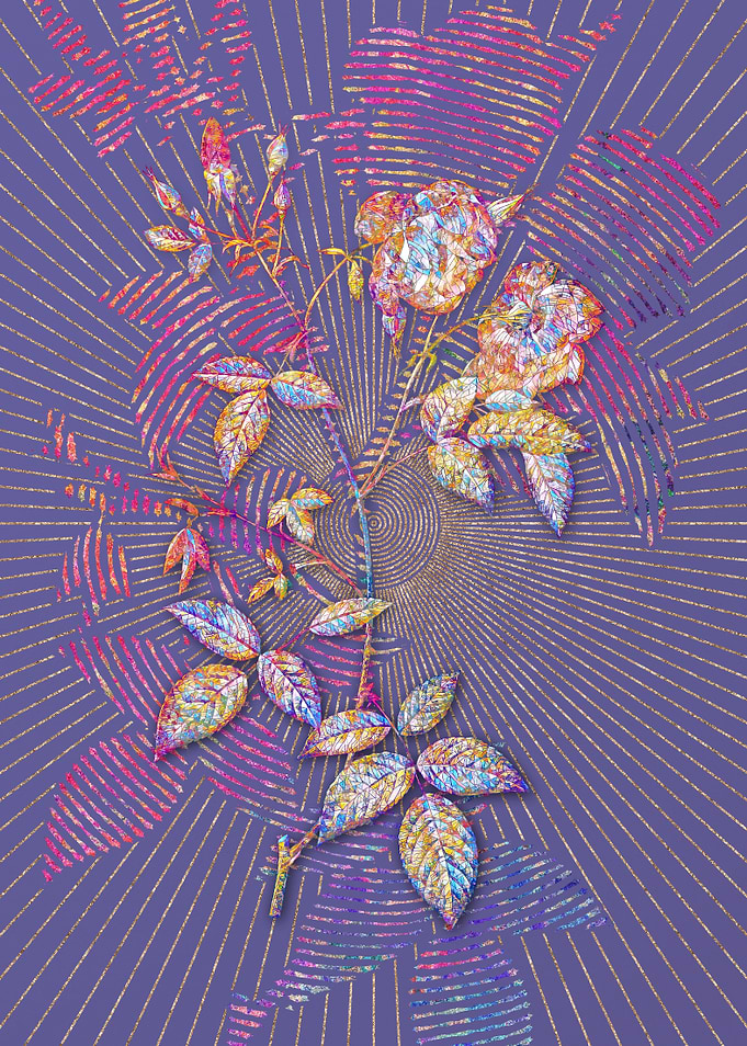 Velvet China Rose Mosaic