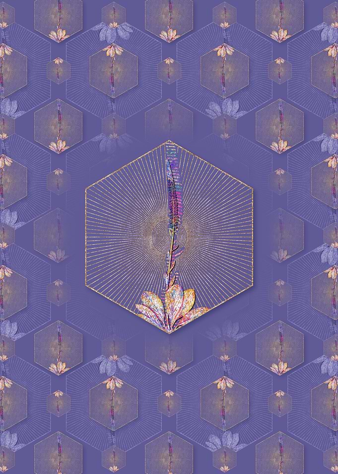 Blazing Star Pattern