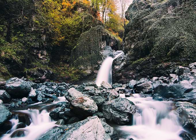 Waterfall in Forest Nature