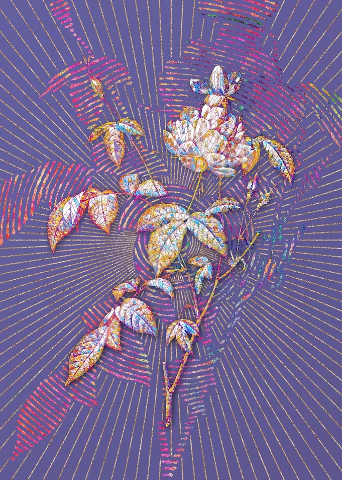 White Bengal Rose Mosaic