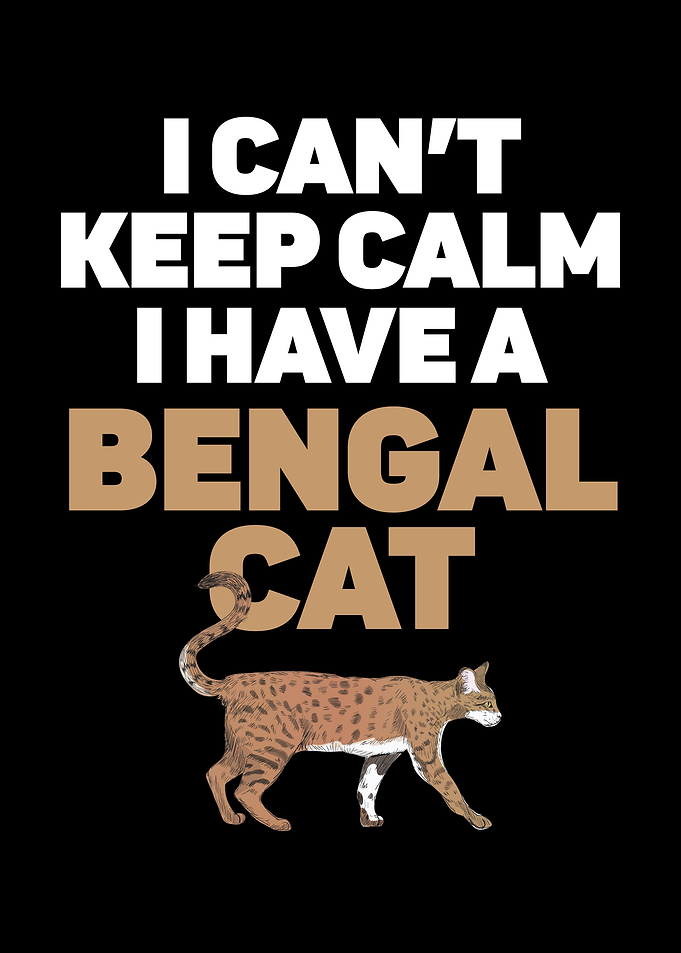 I Cant Keep Calm I Have A