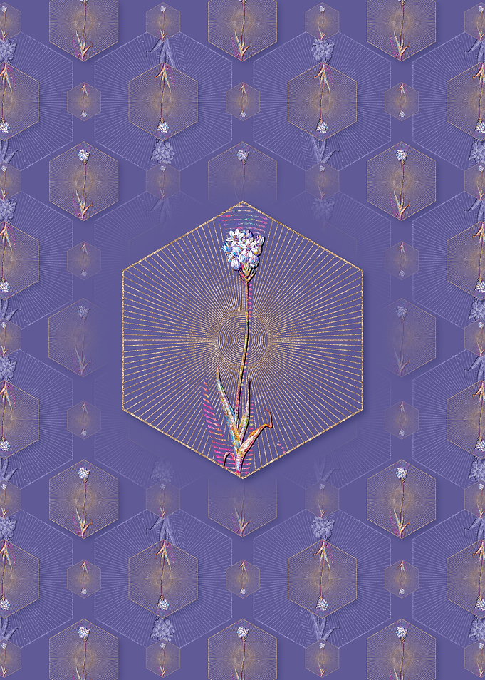 Chincherinchee Pattern