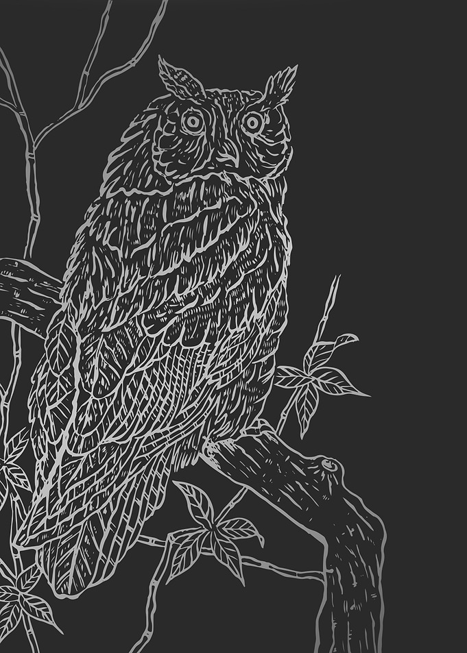 Owl black and white art