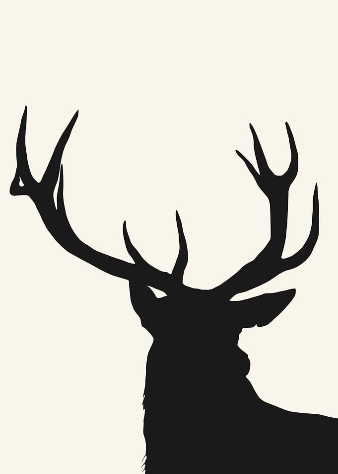 Deer Silhouette
