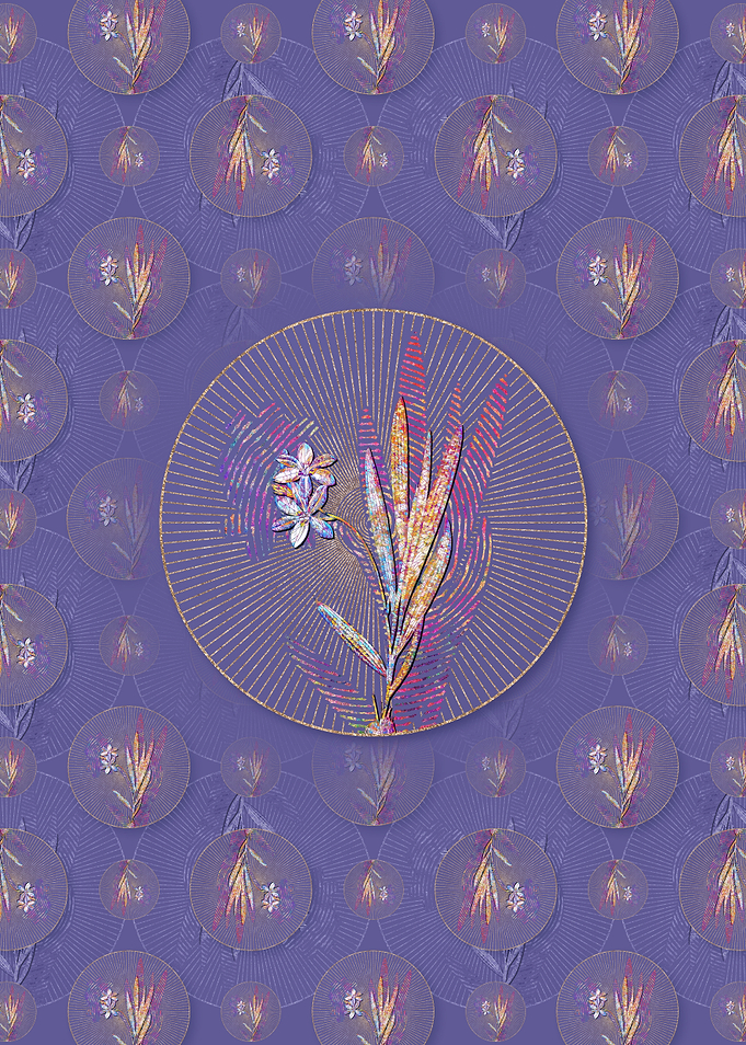 Gladiolus Plicatus Pattern
