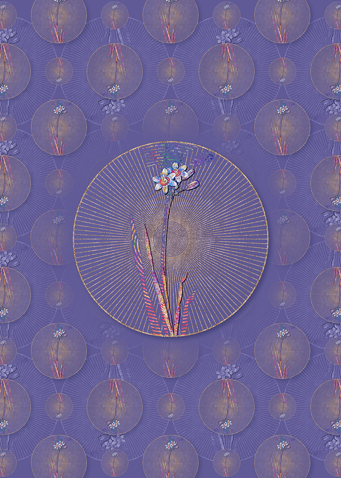 Galaxia Ixiaeflora Pattern