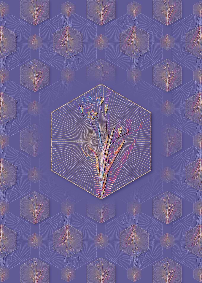 Ixia Bulbifera Pattern