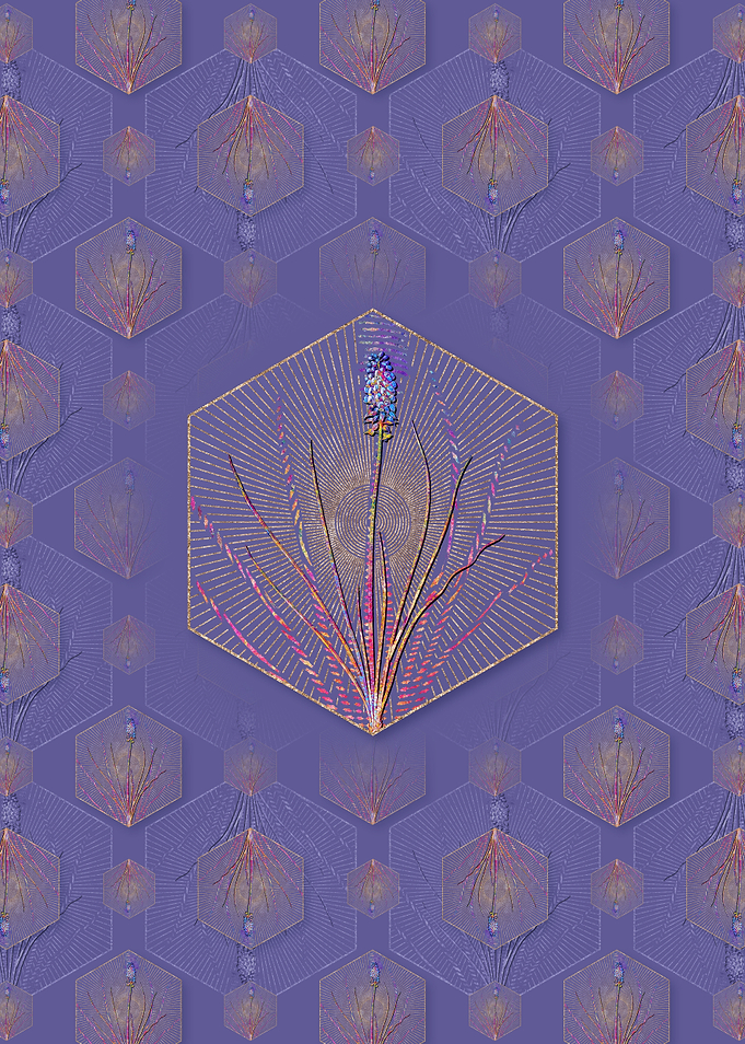Grape Hyacinth 2 Pattern